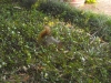 dscn0179