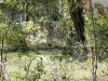 outside_iso125
