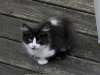 outside_iso2000